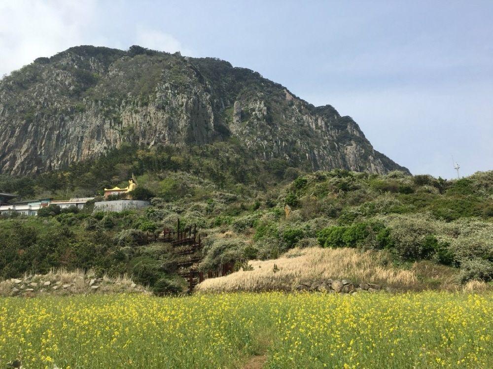 沿著龍頭海岸的步道，眺望濟州島的天然海景，是觀光客流連拍照的絕佳位置